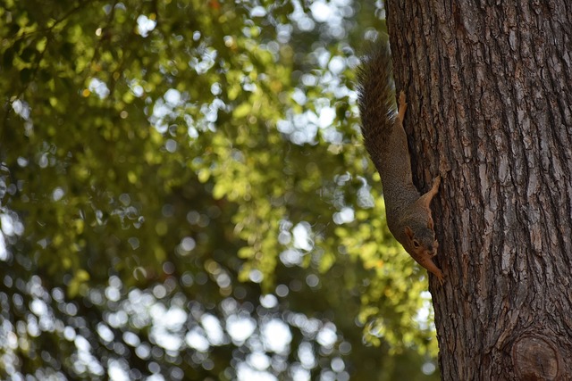 北青：U16男足年底或明年初展开集训，与更多强队热身