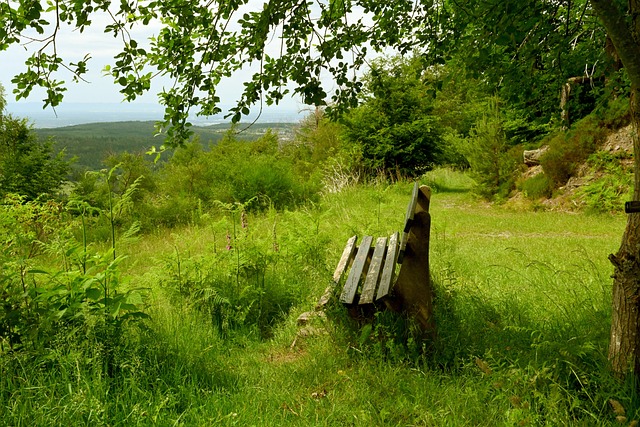 祝福！阿森纳前锋萨卡社媒官宣与相恋5年的女友求婚成功