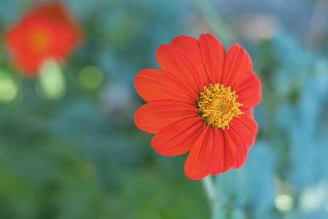 对手教练都看傻了