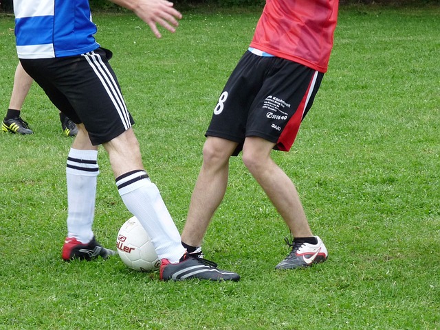 篮球勇士更新伤情报告，两名球员即将回归